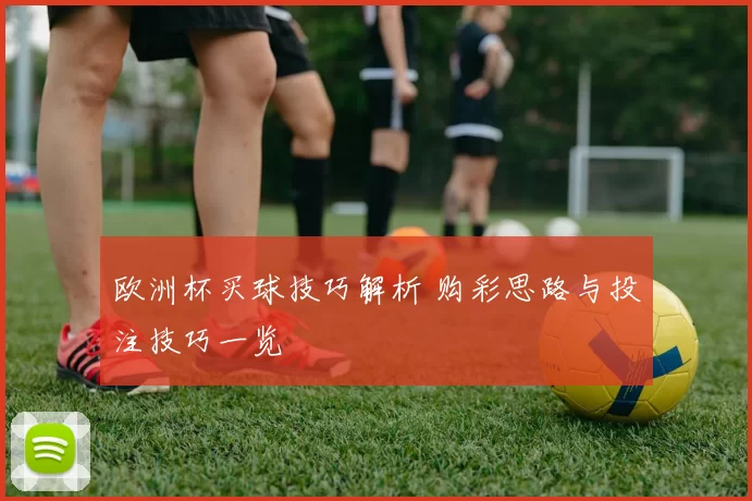 欧洲杯买球技巧解析 购彩思路与投注技巧一览