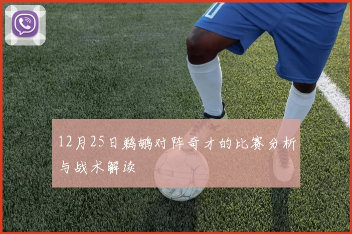 12月25日鹈鹕对阵奇才的比赛分析与战术解读