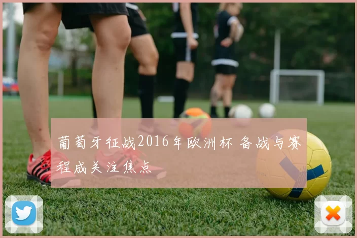 葡萄牙征战2016年欧洲杯 备战与赛程成关注焦点