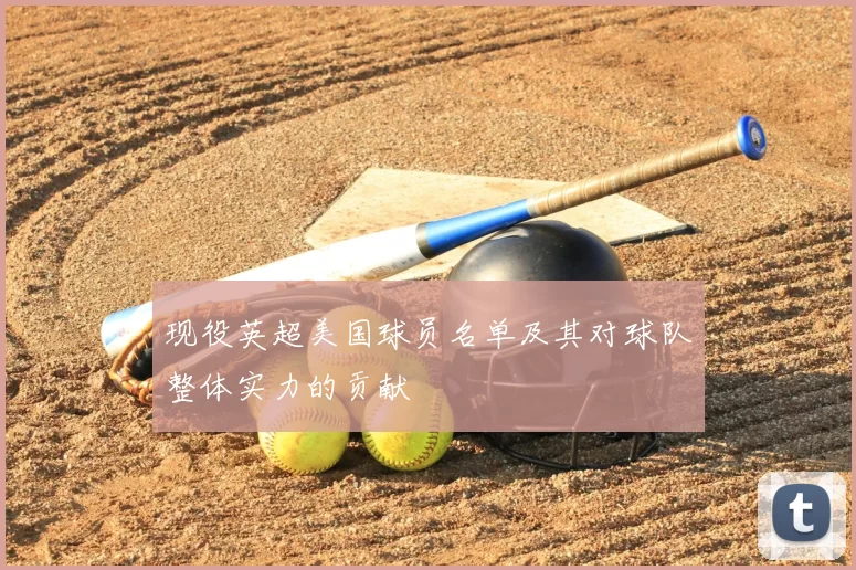 现役英超美国球员名单及其对球队整体实力的贡献