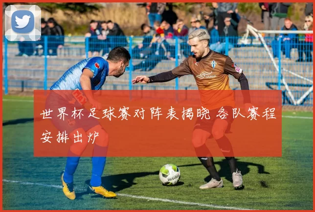 世界杯足球赛对阵表揭晓 各队赛程安排出炉