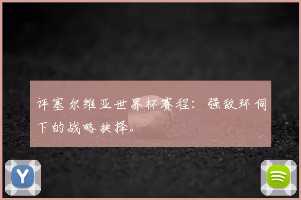 评塞尔维亚世界杯赛程：强敌环伺下的战略抉择。
