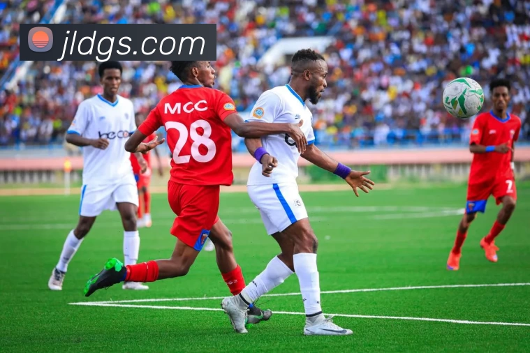 App Interface Preview